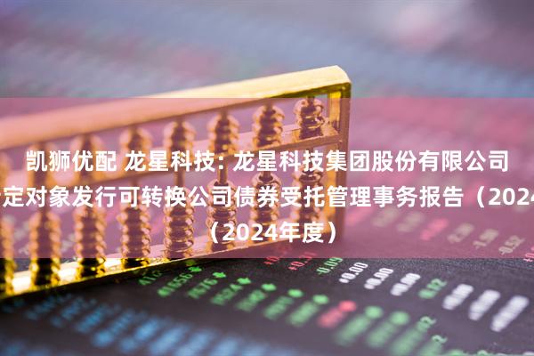 凯狮优配 龙星科技: 龙星科技集团股份有限公司向不特定对象发行可转换公司债券受托管理事务报告（2024年度）