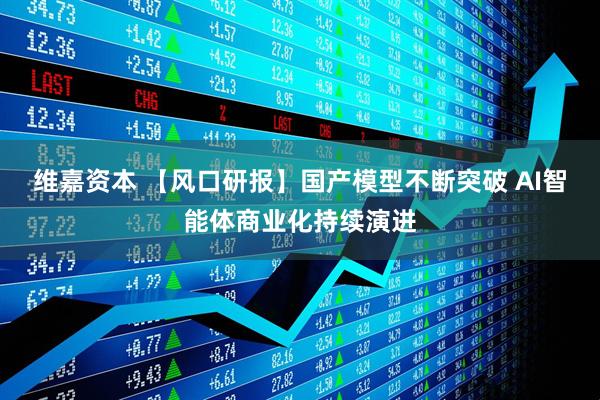维嘉资本 【风口研报】国产模型不断突破 AI智能体商业化持续演进