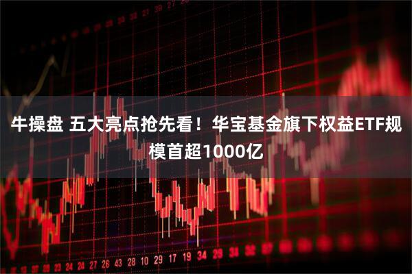 牛操盘 五大亮点抢先看！华宝基金旗下权益ETF规模首超1000亿