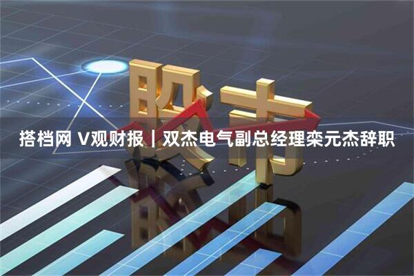 搭档网 V观财报｜双杰电气副总经理栾元杰辞职