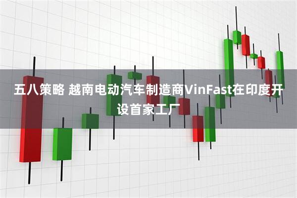 五八策略 越南电动汽车制造商VinFast在印度开设首家工厂