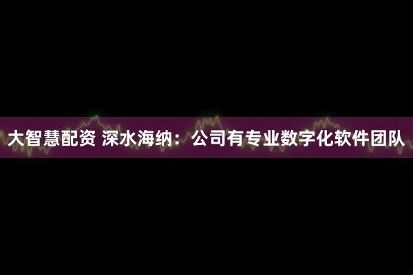 大智慧配资 深水海纳：公司有专业数字化软件团队