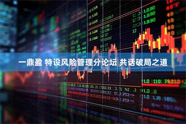 一鼎盈 特设风险管理分论坛 共话破局之道