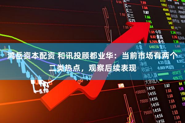 鸿岳资本配资 和讯投顾都业华：当前市场有两个二类热点，观察后续表现