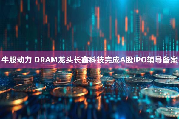 牛股动力 DRAM龙头长鑫科技完成A股IPO辅导备案