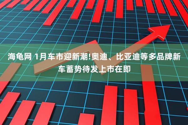 海龟网 1月车市迎新潮!奥迪、比亚迪等多品牌新车蓄势待发上市在即