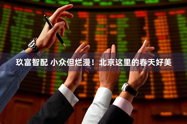 玖富智配 小众但烂漫！北京这里的春天好美