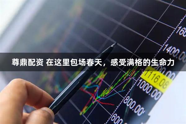 尊鼎配资 在这里包场春天，感受满格的生命力